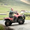 Cows and quadbike